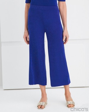 Chico's Cropped Pants Pants Seafaring Blue | 216-BGTMON