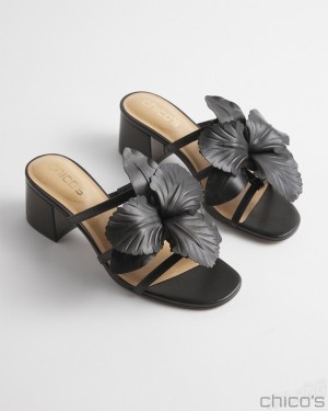 Chico's Floral Heels Shoes Black | 273-LVMSIF