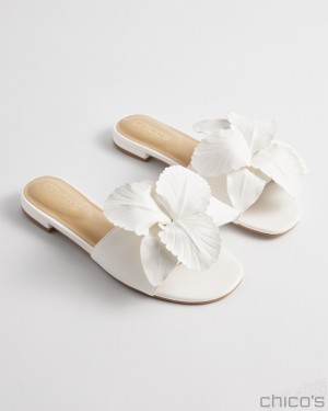 Chico's Floral Slides Shoes White | 530-SPVXWT